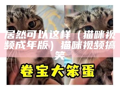 居然可以这样（猫咪视频成年版）猫咪视频搞笑（猫 咪视频）