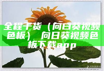 全程干货（向曰葵视频色板）卐向日葵视频色板下载app