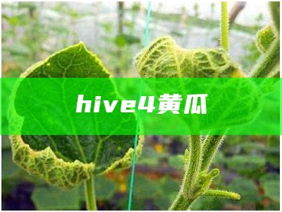 hive4黄瓜