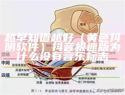 越早知道越好（黄色抖阴软件）抖音极速版为什么没有音乐标志