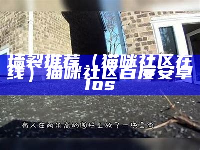 墙裂推荐（猫咪社区在线）猫咪社区百度安卓ios（猫咪社区官网叫什么）