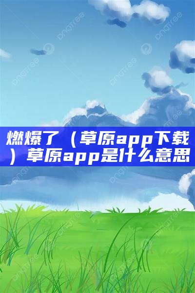 燃爆了（草原app下载）草原app是什么意思（草原云app下载）