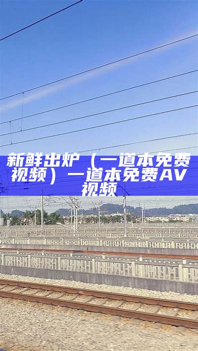 新鲜出炉（一道本免费视频）一道本免费 AV 视频