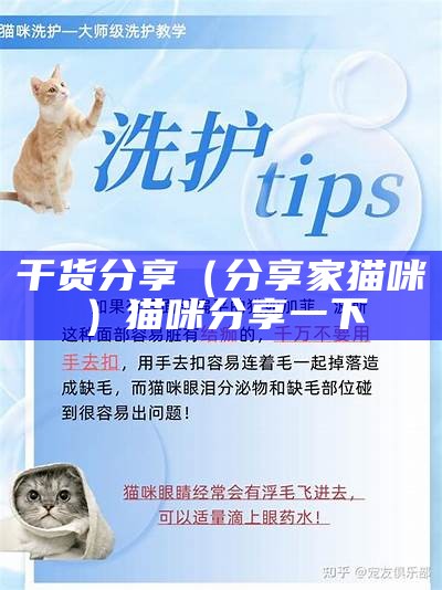 干货分享（分享家猫咪）猫咪分享一下（分享猫社区）