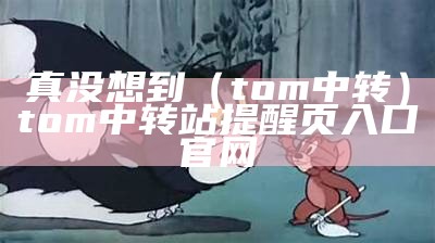 真没想到（tom中转）tom中转站提醒页入口官网（tom中转人）