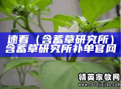 速看（含蓄草研究所）含蓄草研究所补单官网