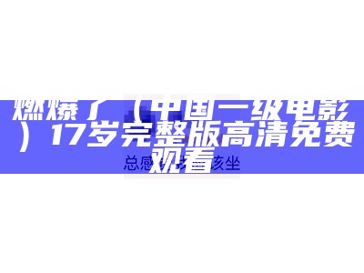 燃爆了（中国一级电影）17岁完整版高清免费观看