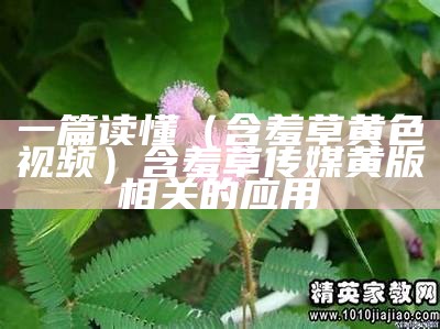 一篇读懂（含羞草黄色视频）含羞草传媒黄版相关的应用