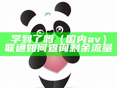 学到了吗（国内a v）联通如何查询剩余流量