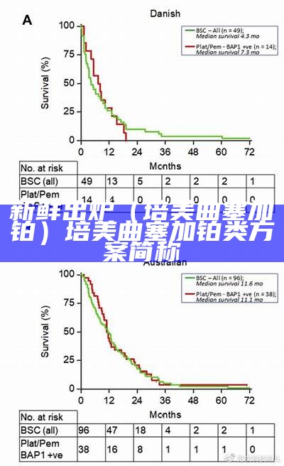 新鲜出炉（培美曲塞加铂）培美曲塞加铂类方案简称（培美曲塞+铂）