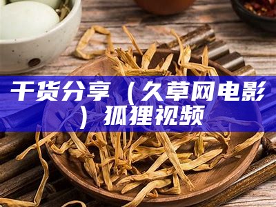 干货分享（久草网电影）狐狸视频