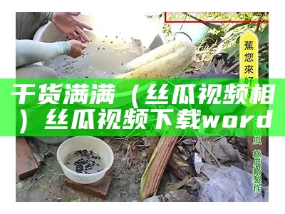 干货满满（丝瓜视频相）丝瓜视频下载word