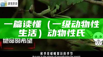 一篇读懂（一级动物性生活）动物性氏