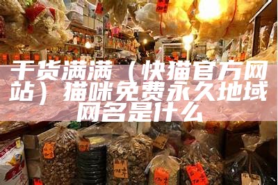 干货满满（快猫官方网站）猫咪免费永久地域网名是什么