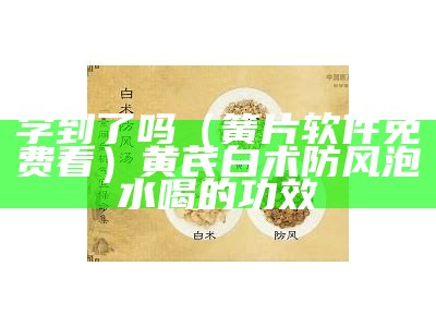 学到了吗（簧片软件免费看）黄芪白术防风泡水喝的功效