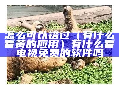 怎么可以错过（有什么看黄的应用）有什么看电视免费的软件吗