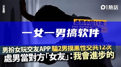 一女一男搞软件