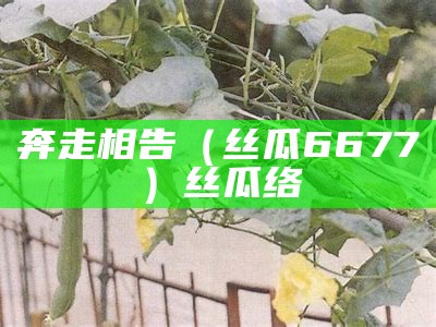 奔走相告（丝瓜6677）丝瓜络