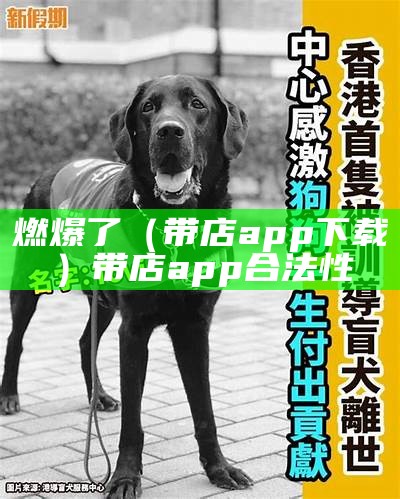 全程干货（豆奶app更新）豆奶app4.0ios（豆奶app3.0）