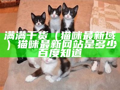 满满干货（猫咪最新域）猫咪最新网站是多少百度知道（猫咪的最新网站是多少）