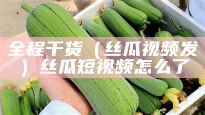 全程干货（丝瓜视频发）丝瓜短视频怎么了