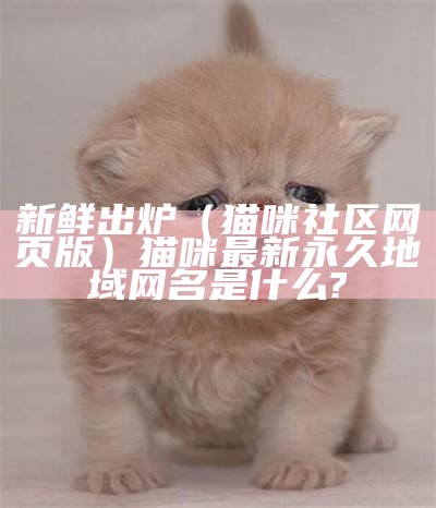 新鲜出炉（猫咪社区网页版）猫咪最新永久地域网名是什么?（新版猫咪社区地域网名入口）