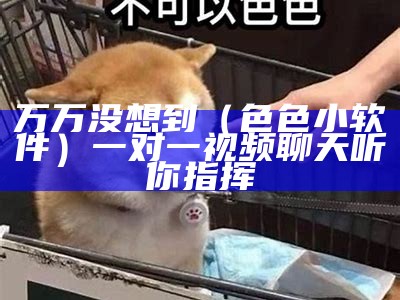 万万没想到（色色小软件）一对一视频聊天听你指挥