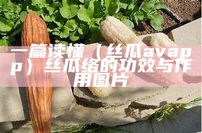 一篇读懂（丝瓜avapp）丝瓜络的功效与作用图片