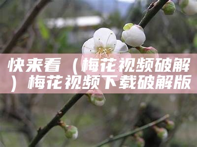 快来看（梅花视频破解）梅花视频下载破解版