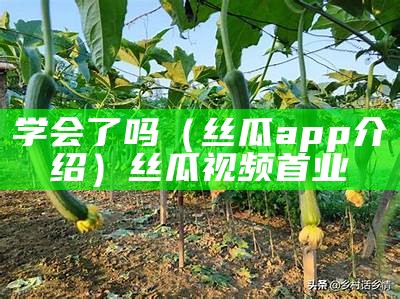 学会了吗（丝瓜app介绍）丝瓜视频首业