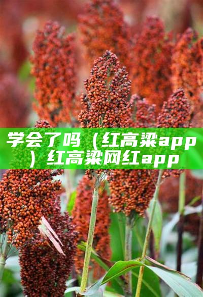 学会了吗（红高粱app）红高粱网红app