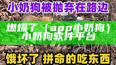 燃爆了（app小奶狗）小奶狗软件平台（小奶狗软件2020最新版本）