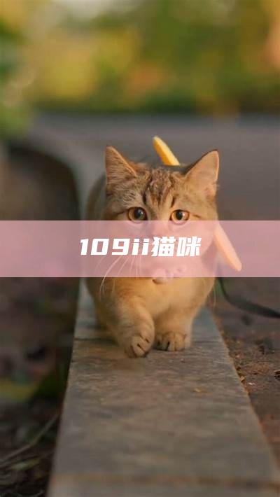 109ii猫咪