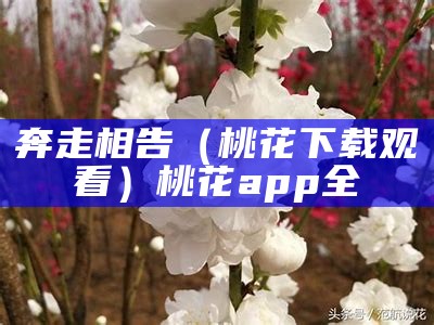 奔走相告（桃花下载观看）桃花app全