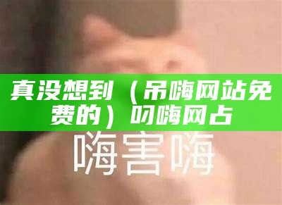 真没想到（吊嗨网站免费的）叼嗨网占