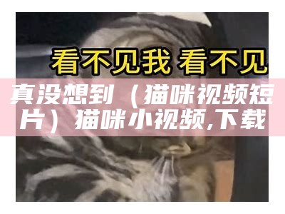 真没想到（猫咪视频短片）猫咪小视频,下载（猫咪视频 小猫）