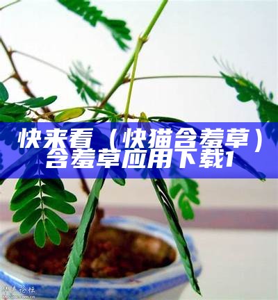 快来看（快猫含羞草）含羞草应用下载1