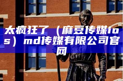 太疯狂了（麻豆传媒ios）md传媒有限公司官网