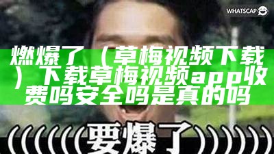 燃爆了（草梅视频下载）下载草梅视频app收费吗安全吗是真的吗