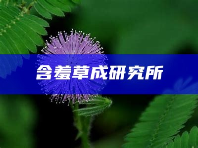 含羞草成研究所