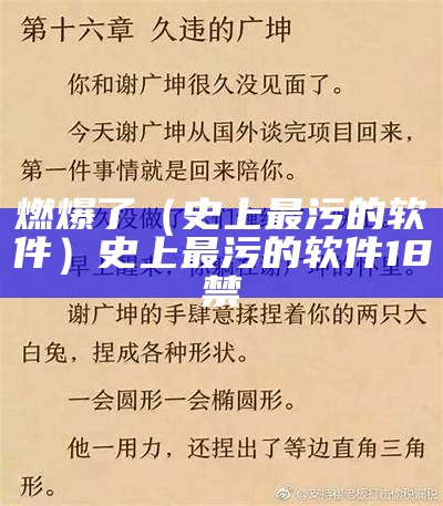 燃爆了（史上最污的软件）史上最污的软件18禁（最污的软件全部排出来）