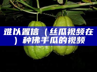 难以置信（丝瓜视频在）种佛手瓜的视频