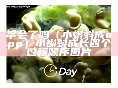 学会了吗（小蝌蚪成app）小蝌蚪成长四个过程顺序图片（小蝌蚪 成长）