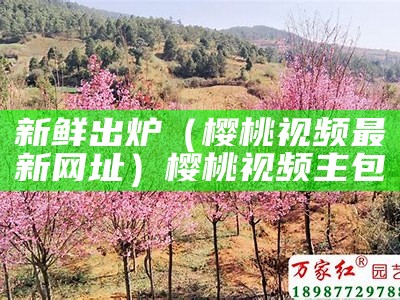 新鲜出炉（樱桃视频最新网址）樱桃视频主包（樱桃视频官方网站下载素材）