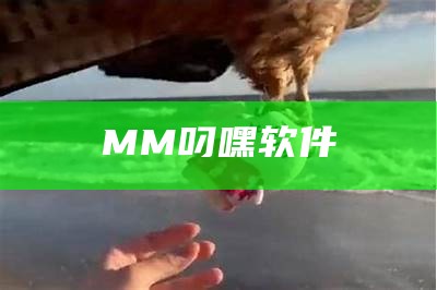 MM叼嘿软件