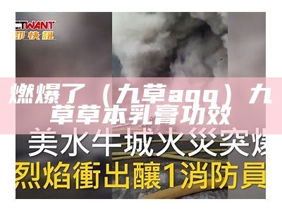 燃爆了（九草aqq）九瑇草草本乳膏功效（九草绿霜真的安全吗）