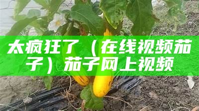 太疯狂了（在线视频茄子）茄子网上视频（doing茄子视频在线）