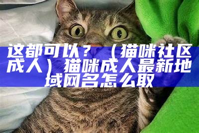 这都可以？（猫咪社区成人）猫咪成人最新地域网名怎么取