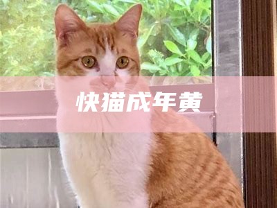 快猫成年黄