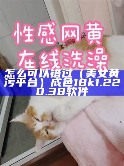 美女网站下载污